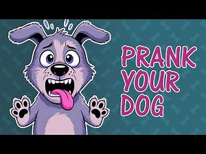 Prank Your Dog with Sounds That Dogs Hate 😆