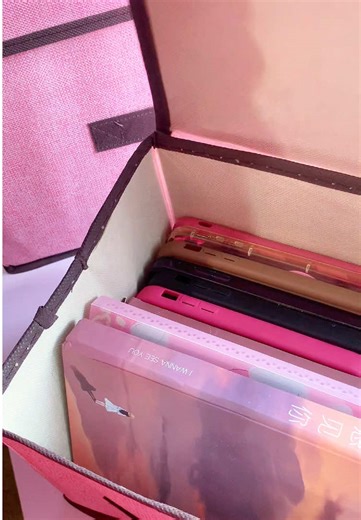 Budget-Friendly Storage Box Organizer Ideas