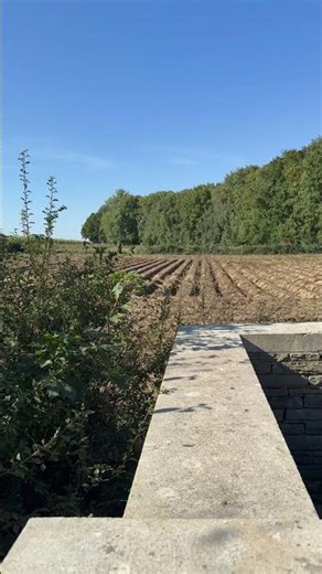 Where the Pals went over the top to attack Serre (Matthew, Mark, Luke, and John Copses)