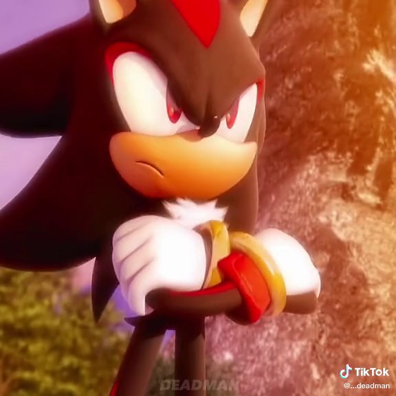 Shadow the Hedgehog: Mastering Chaos Control