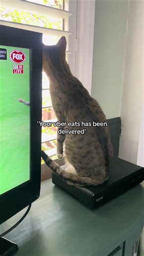 The Reality of Uber Eats Delivery Drivers