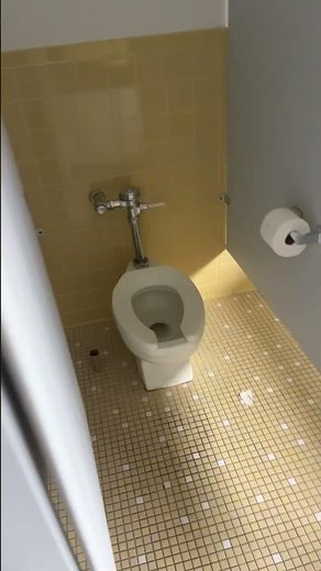 A girl in the ladies restroom #WTF