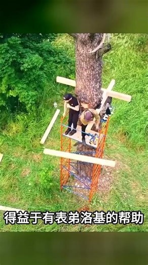 男人挑戰荒野建造！在密林深處打造精致迷你樹屋居住，驚人手工細節 #野外生存 #荒野建造 #户外生活 #露营 #求生