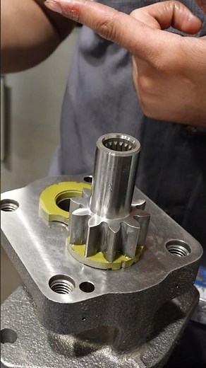 Gear Pump Assembly: Drive Gear and Idler Gear