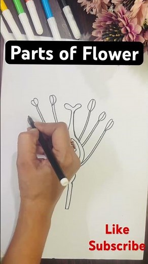 Labelled diagram of Parts of Flower ll how to draw parts of flower easy ll #shorts #art