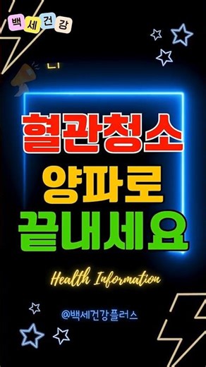 혈관 청소부 양파 제대로 먹는 법? #혈관건강 #양파효능 #50대보약 #건강정보