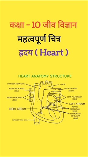 Class 10 UP Board Biology 🔥 Human Heart Important Figure | 5 Marks Pक्का 💯 Pre board exam✅