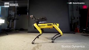 This robotic dog has some must-see dance moves