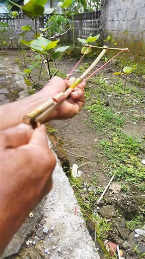 green bamboo slingshot with simple method #diy#bamboo