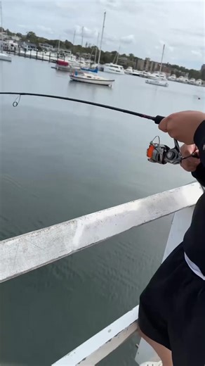 Hes done it 50cm rat 😂😂😂#kingfish #gunnamatta #porthacking#sydfishing #fyp