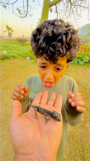 😲🤯🤯 The chameleon is changing its color in front of the camera!! INSANE Color Changing Chameleon