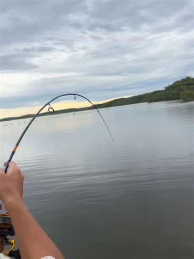 Fishing Adventures in Mount Isa: Bass Fishing Tips