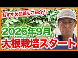 Start Growing Daikon Radish in September 2026! Tips, Recommended Varieties, and How to Grow Them ...