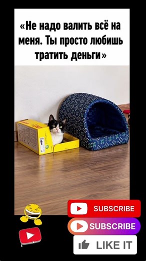 #смех #юмор #приколы #мем