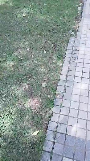 5.2K views · 32 reactions | MacTech Pakistan on Reels | Facebook