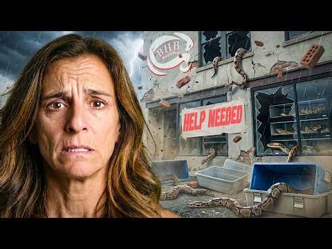 The Problem With BHB Reptiles… (Emotional)