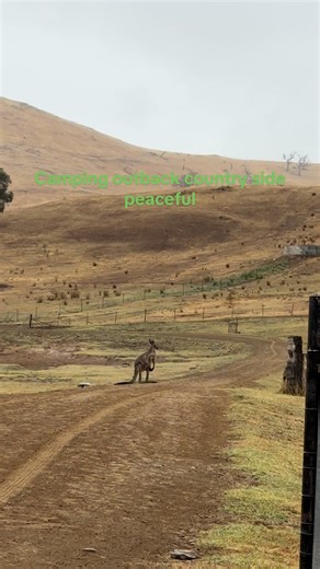 Aussie life #camping @ countryside #Australia #