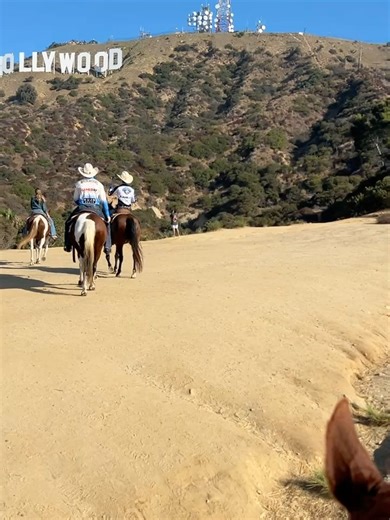 Sunset Ranch Hollywood on Reels