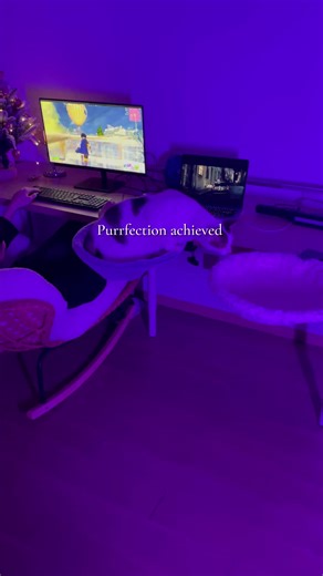 Ultimate Cat Bed That Every Feline Will Love