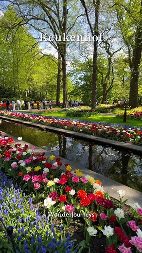 Keukenhof 2026: Best Dates for Tulip Fields & Flower Parade
