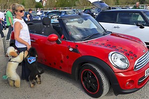 Watch: Big turnout for Mini car show