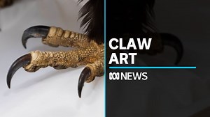 Necklaces made from eagle claws
