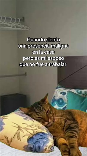 Me asusta! #comedia #humor #maridos #esposos #vidadecasados