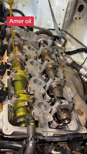 Amer oil على TikTok