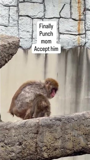 Acceptance is bliss 😊