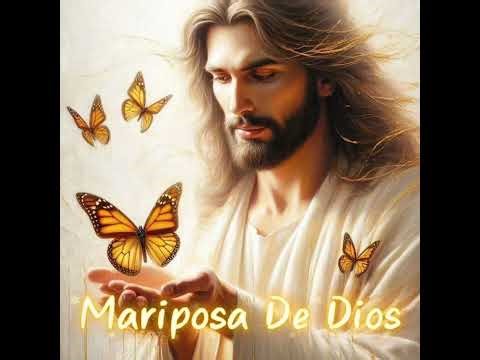 Mariposa De Dios 🦋