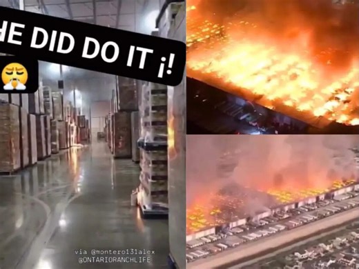 Watch: Employee sets 1.2 million sqft warehouse on fire after no pay hike, releases video saying 'If you’re not going to pay us enough...'