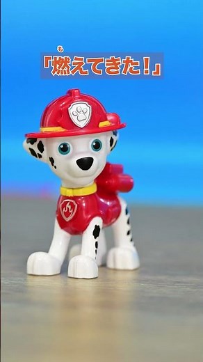 [Paw Patrol] Marshall is on the move! Solves the problem with a bang! | Takara Tomy Official