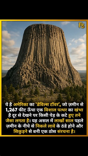 America's "Devils Tower," a massive stone column rising 1,267 feet from the ground, resembles a giant tree stump when viewed from a distance. It is actually a solid structure formed millions of years ago by the cooling and shrinking of lava that erupted from beneath the earth's surface. #devilstower #america #nature Fact Samrat | Fact Samrat