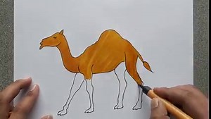 How to draw a camel step by step | Easy camel drawing | Animal drawing | Priyanka creative guru
