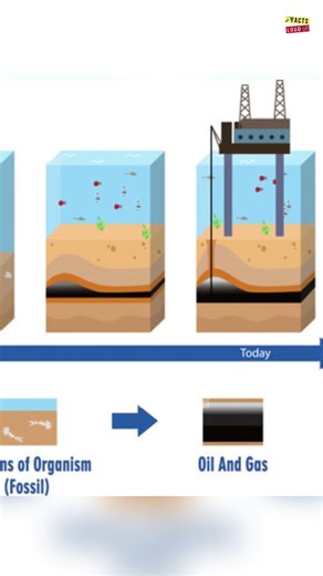 how oil is formed? #tamil #facts #shorts