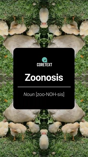 Word of the Week: Zoonosis – When diseases cross from animals to humans