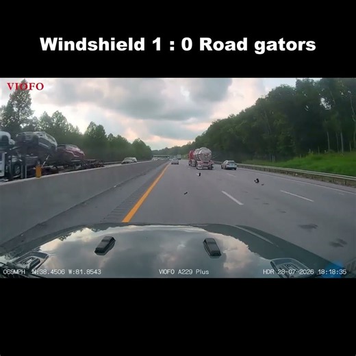 Windshield 1 : 0 Road gators #viofo #dashcam #driving #automobile #fyp