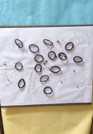 Deaf Brother 137 on TikTok