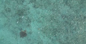 Video by Zane Holmes on Pexels