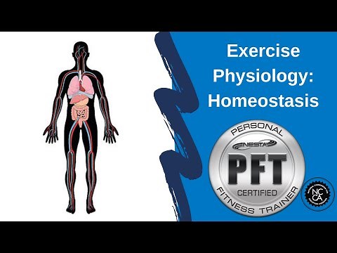 Homeostasis - Exercise Physiology Review for Personal Fitness Trainer Exam