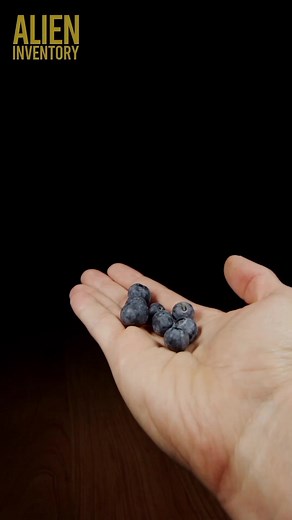 Blueberry cutting. #torx #tools #blueberry #huckleberry #asmr #asmrsounds #asmrvideo #satisfyingvideos #reels #reelsinstagram #macro #macrophotography #macro_royals #macro_highlight #macro_captures_ #raw_macro #kings_macro #macro_brilliance | Alien Inventory