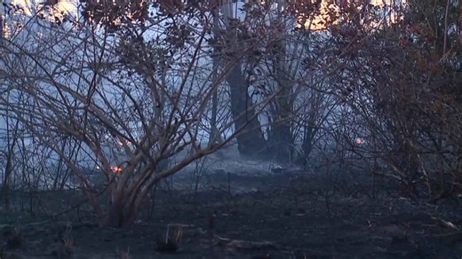 With wildfire risks rising, experts say simple steps can protect Florida homes