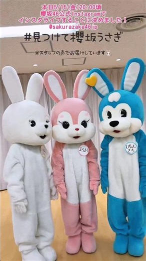 櫻坂46 〜うさぎたちの1日が始まる〜15thSGヒットキャンペーンスタート！本日5月15日20:00頃 公式Instagramでインスタライブ配信！