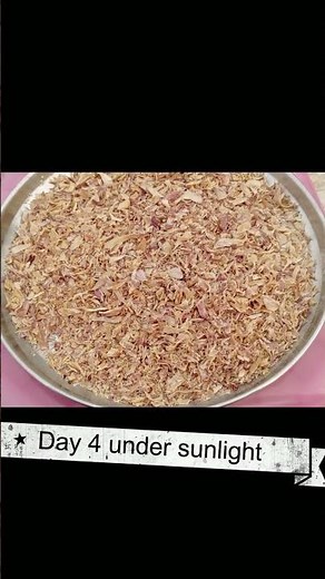 Homemade Onion Powder | How to make Onion Powder at home | Easy to make Recipe !