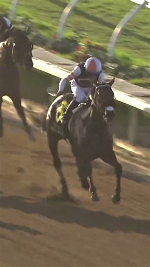 Pat O'Brien Stakes GII