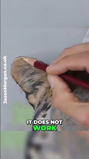Learn to draw fur - animal art Jason Morgan #artinstruction #animalart