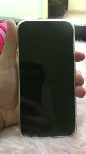 Flashing apple logo on New iphone 12 pro max issue