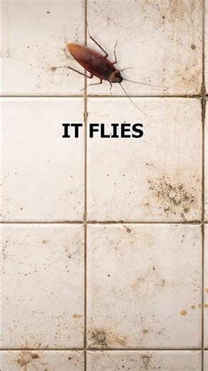 👉 DON’T BLINK 🪳 Flying Cockroach (Cat Reaction Test)