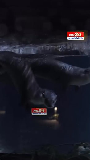 4.1K views · 16 reactions | Anant Ambani expressed his gratitude to...