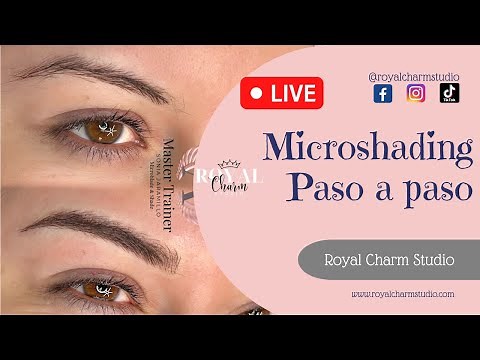 Microshading (microblading + shading) proceso completo